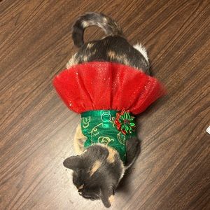 Made in America. Adorable, handmade pet Christmas tutu dress. Size S.